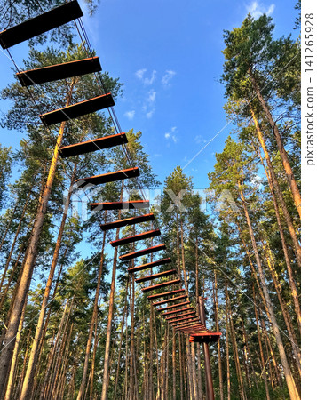Sports forest town 141265928