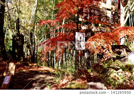 Entrance to Tsukimachi Falls Maple Garden and autumn leaves in Daigo Town, Ibaraki Prefecture Entrance to Tsukimachi Falls Maple Garden and autumn leaves in Daigo Town, Ibaraki Prefecture 141265930