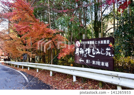 Signboard and autumn leaves at Tsukimachi Falls Maple Garden, Daigo Town, Ibaraki Prefecture Signboard and autumn leaves at Tsukimachi Falls Maple Garden, Daigo Town, Ibaraki Prefecture 141265933