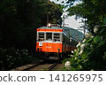 The Hakone Tozan Railway ascends a slope lined with hydrangeas. 141265975