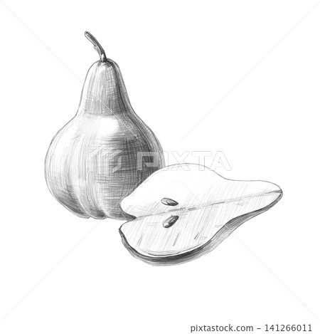 A whole pear and a half. Isolated detailed pencil illustration for restaurants, cafes, culinary blogs, food brands, farms, and grocery stores. A whole pear and a half. Isolated detailed pencil illustration for restaurants, cafes, culinary blogs, food brands, farms, and grocery stores. 141266011