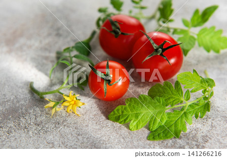 Fresh cherry tomatoes on vine with green leaves and yellow flowers Fresh cherry tomatoes on vine with green leaves and yellow flowers 141266216