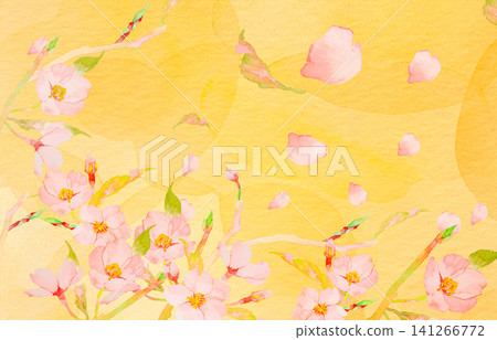 Cherry blossoms with falling petals in the background Cherry blossoms with falling petals in the background 141266772