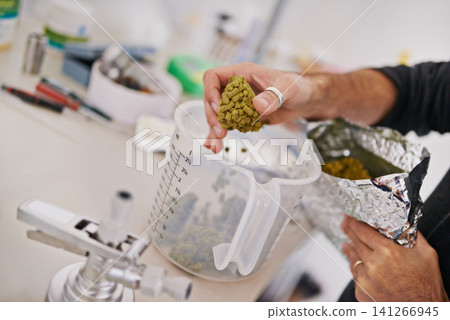 Hands, beer manufacturing with hops or barley in measuring cup, factory or brewery for craft drink. Natural ingredients, organic and distillery, person and alcohol production in lab for industry Hands, beer manufacturing with hops or barley in measuring cup, factory or brewery for craft drink. Natural ingredients, organic and distillery, person and alcohol production in lab for industry 141266945