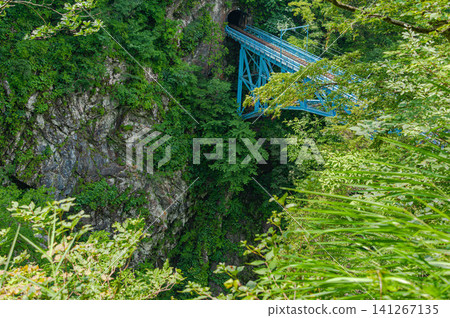 The gorge and railway bridge of the Tateyama Kurobe Alpine Route 141267135