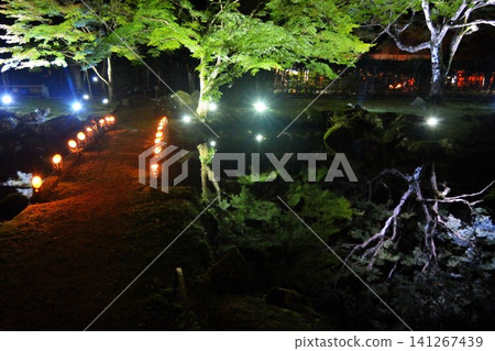 Illumination of Kitabatake Shrine Illumination of Kitabatake Shrine 141267439