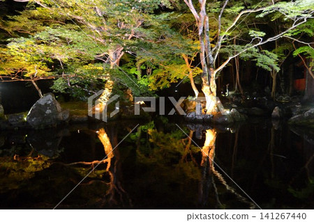 Illuminated Kitabatake Shrine 141267440