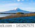 Fuji from Lake Kawaguchi Oishi Park 141267575