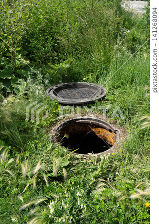 An Overgrown Manhole Surrounded by Lush Greenery, Highlighting the Intersection of Urban Infrastructure and Nature's Resilience An Overgrown Manhole Surrounded by Lush Greenery, Highlighting the Intersection of Urban Infrastructure and Nature's Resilience 141268094