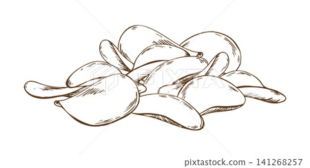 Pile of crunchy potato chips drawn with ink and pen in engraving style. Hand drawn sketch of salty snack food. Vintage illustration of crispy sliced vegetable for menu or print design. Pile of crunchy potato chips drawn with ink and pen in engraving style. Hand drawn sketch of salty snack food. Vintage illustration of crispy sliced vegetable for menu or print design. 141268257
