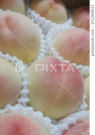 A gift box filled with white peaches in a fruit net. 141268631