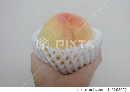 一隻手拿著一個裝在網裡的白桃的特寫鏡頭。 141268652