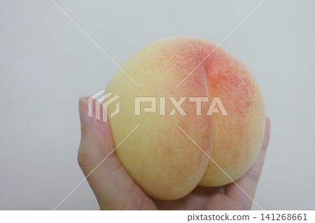 A hand lightly grasping a white peach; an image of freshness and quality. 141268661