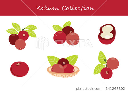 kokum collection. kokum in different poses kokum collection. kokum in different poses 141268802