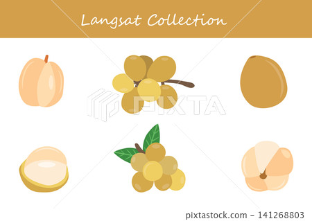 langsat collection. langsat in different poses langsat collection. langsat in different poses 141268803