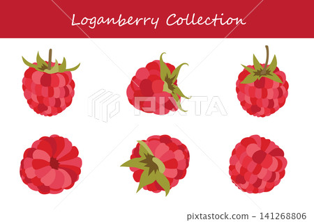 loganberry collection. loganberry in different poses 141268806
