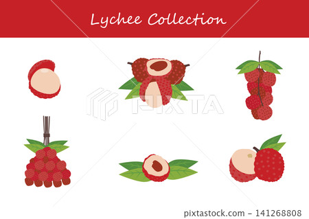 lychee collection. lychee in different poses lychee collection. lychee in different poses 141268808