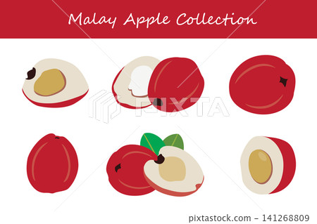 malay apple collection. malay apple in different poses malay apple collection. malay apple in different poses 141268809