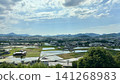 Japanese Landscapes: Rice fields and mountain ranges stretching out under a blue sky 141268983