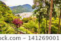 A panoramic view of a peaceful rural town nestled in the mountains, surrounded by deep forests. 141269001