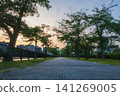 A beautiful tree-lined riverside street at sunset, viewed from a low angle. 141269005