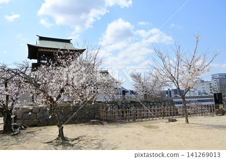 The site of the main gate of Fukuyama Castle and cherry blossoms 141269013