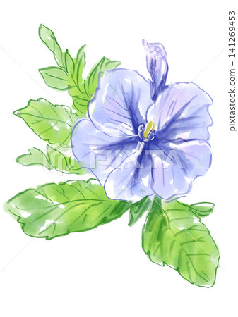 一幅手繪水彩插圖,描繪了盛開的矮牽牛花。 一幅手繪水彩插圖,描繪了盛開的矮牽牛花。 141269453