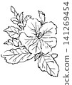 一幅手繪線條藝術插圖，描繪了盛開的矮牽牛花。 141269454