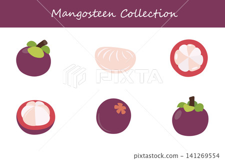 mangosteen collection. mangosteen in different poses mangosteen collection. mangosteen in different poses 141269554