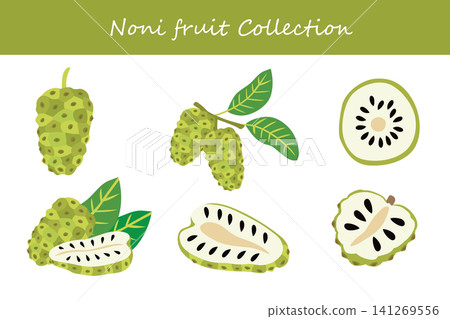 noni fruit collection. noni fruit in different poses noni fruit collection. noni fruit in different poses 141269556