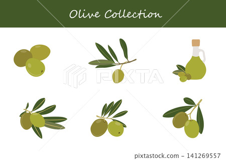 olive collection. olive in different poses olive collection. olive in different poses 141269557