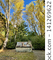 Yellow poplar trees reaching towards the blue sky, and a stone house standing quietly. 141269622