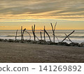 Hokitika's famous driftwood art, set against the backdrop of the Tasman Sea and its rough waves at sunset. 141269892