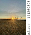 "HOKITIKA," the famous driftwood art that represents Hokitika Beach in New Zealand, illuminated by the sunset. 141269893