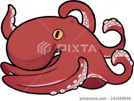 章魚 章魚 141269938