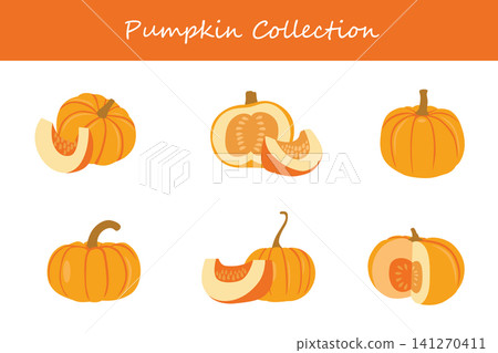 pumpkin collection. pumpkin in different poses pumpkin collection. pumpkin in different poses 141270411