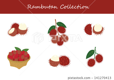 rambutan collection. rambutan in different poses rambutan collection. rambutan in different poses 141270413