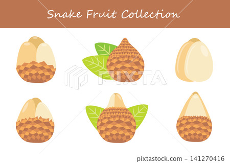 snake fruit collection. snake fruit in different poses snake fruit collection. snake fruit in different poses 141270416