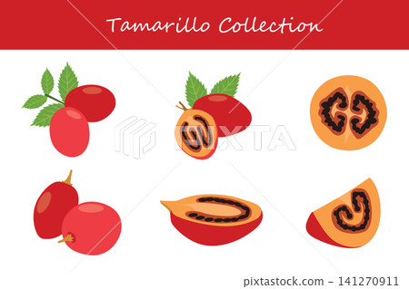 tamarillo collection. tamarillo in different poses tamarillo collection. tamarillo in different poses 141270911
