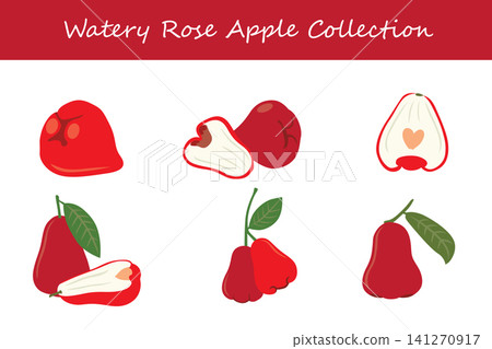watery rose apple collection. watery rose apple in different poses watery rose apple collection. watery rose apple in different poses 141270917