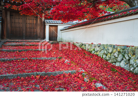 [Kiyomizu-dera Temple] A World of Japanese Culture [Nagano City] 141271020