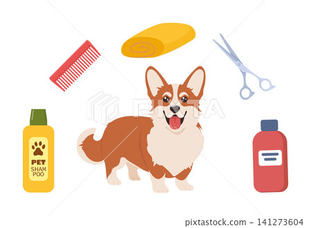 Dog Grooming. Caring for animals. Dog hair salon. Corgi. Tools for the care of animals. Scissors, brush, shampoo, towel. Pet grooming salon. Vector illustration. Dog Grooming. Caring for animals. Dog hair salon. Corgi. Tools for the care of animals. Scissors, brush, shampoo, towel. Pet grooming salon. Vector illustration. 141273604