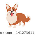 Cute corgi dog character, joyful puppy standing, showcasing a big smile and bright, attentive eyes. Playful and friendly pet of the popular Corgi canine animal breed. Vector illustration 141273611