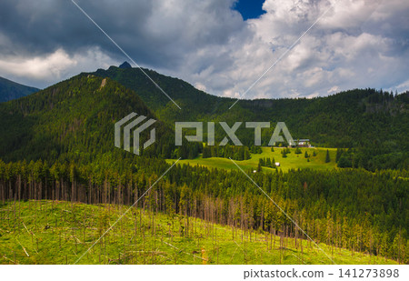 Sunlit green mountain valley with meadow, forested slopes in Zakopane Tatras mountains Sunlit green mountain valley with meadow, forested slopes in Zakopane Tatras mountains 141273898