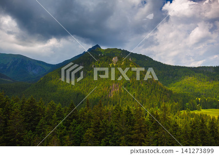 Sunlit green mountain valley with meadow, forested slopes in Zakopane Tatras mountains Sunlit green mountain valley with meadow, forested slopes in Zakopane Tatras mountains 141273899