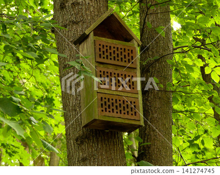 Insect hotel creating habitat for garden wildlife 141274745