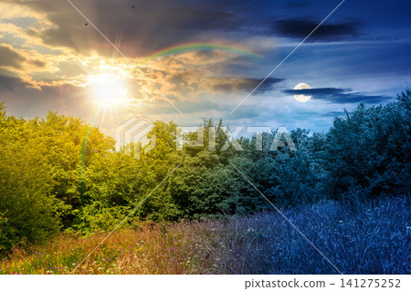 deciduous beech forest near meadow under dramatic sky. nature scenery with tall grass near forest at twilight. carpathian beech forest of ukraine. wild field with grass and herbs. summer solstice deciduous beech forest near meadow under dramatic sky. nature scenery with tall grass near forest at twilight. carpathian beech forest of ukraine. wild field with grass and herbs. summer solstice 141275252