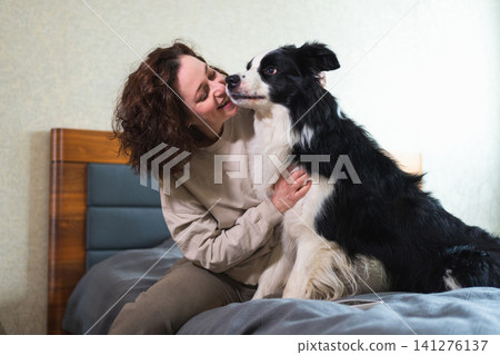 Smiling woman playing with cute puppy dog border collie on bed at home indoor. Owner girl stroking holding dog friend sitting on sofa in living room. Love for pets friendship support team concept Smiling woman playing with cute puppy dog border collie on bed at home indoor. Owner girl stroking holding dog friend sitting on sofa in living room. Love for pets friendship support team concept 141276137