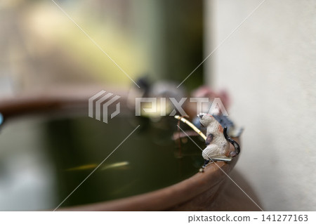 A small ornament placed on the edge of a water basin A small ornament placed on the edge of a water basin 141277163