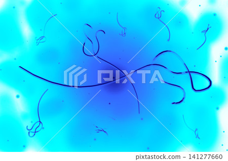 Ebola virus - 3D illustration 141277660